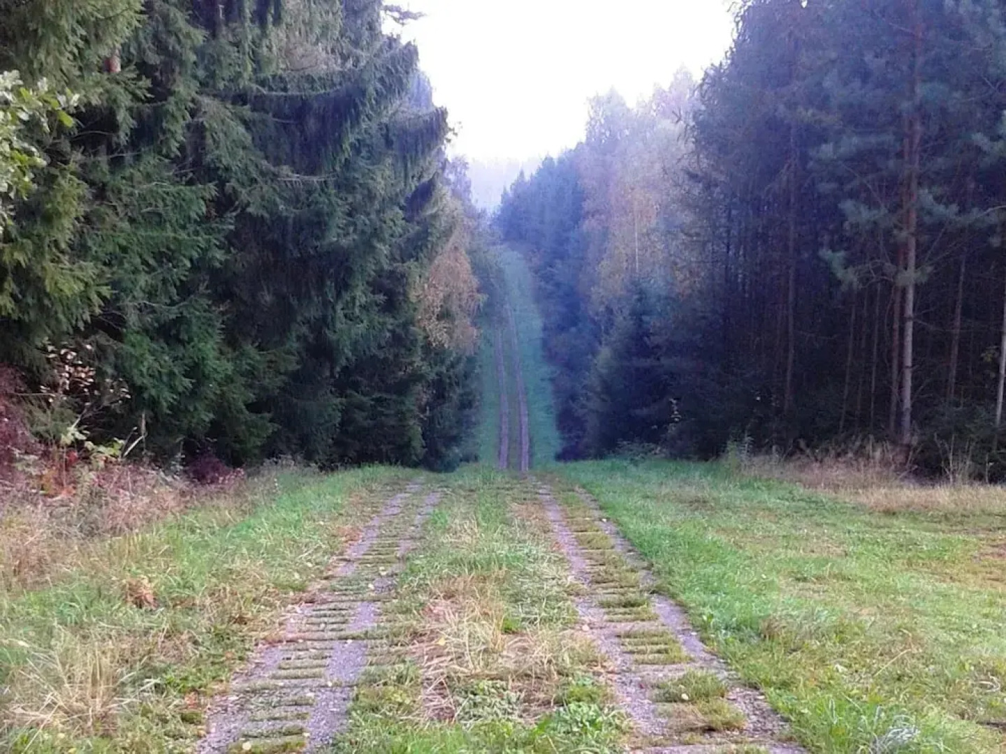 Modern Apartment near Forest in Burggrub