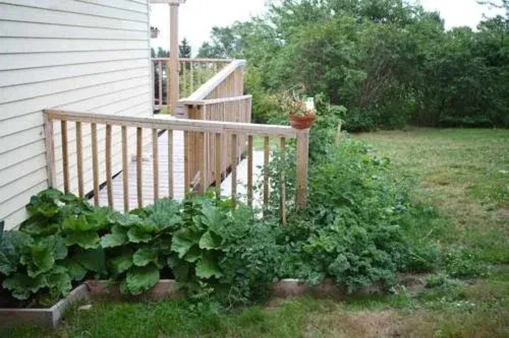 Maven Gypsy B&B +Cottages