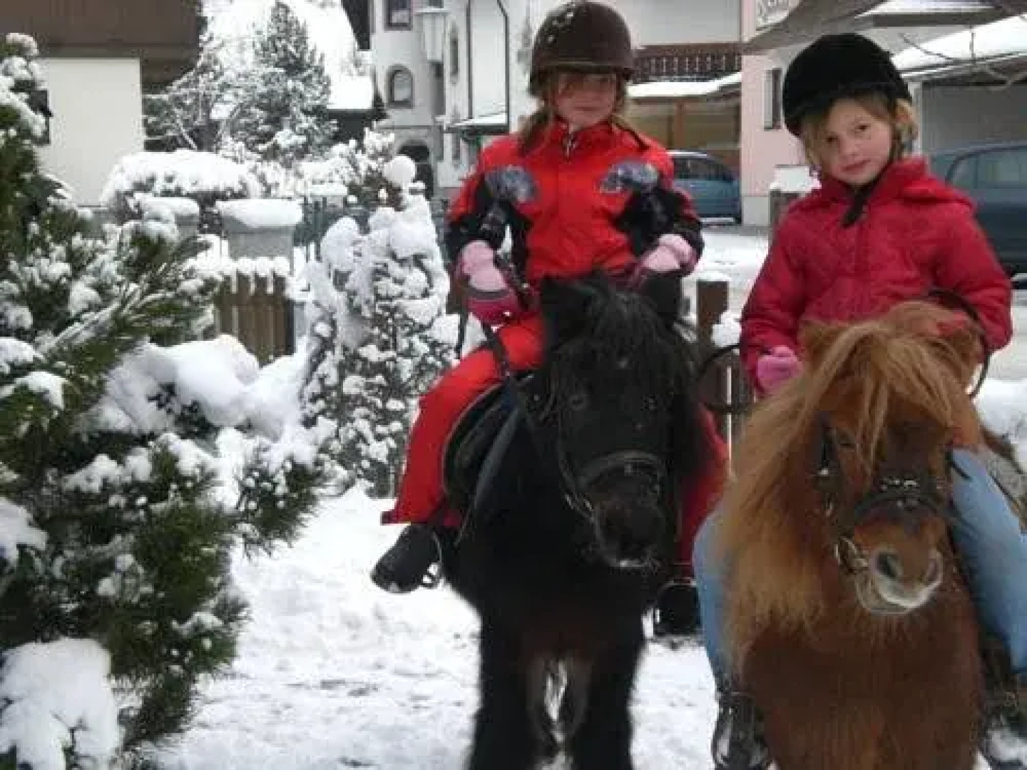Alpenpension Hï¿½fler