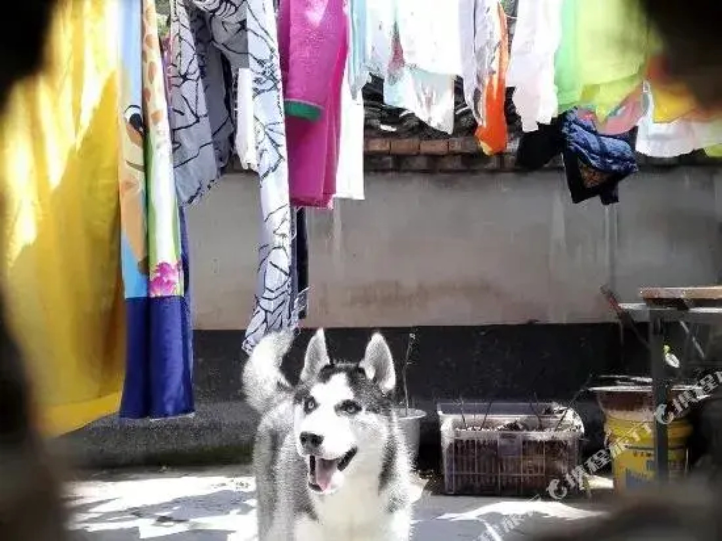 凤凰小院子客栈