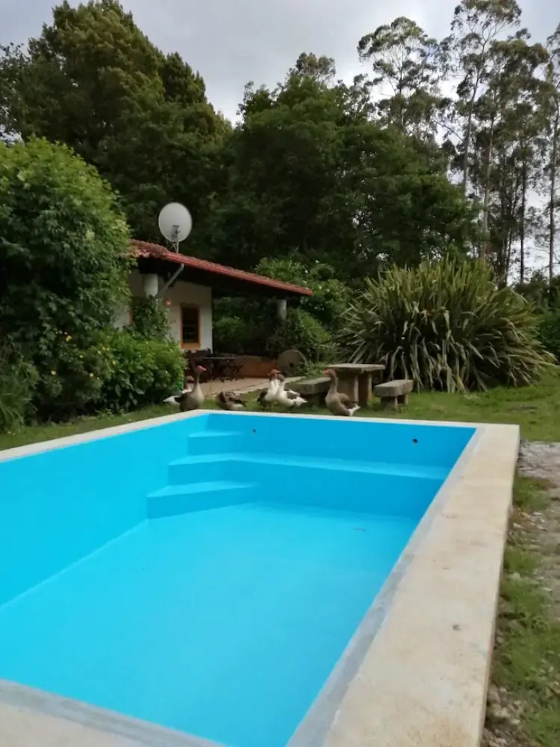 House With one Bedroom in Espinho, With Furnished Garden and Wifi Near the Beach