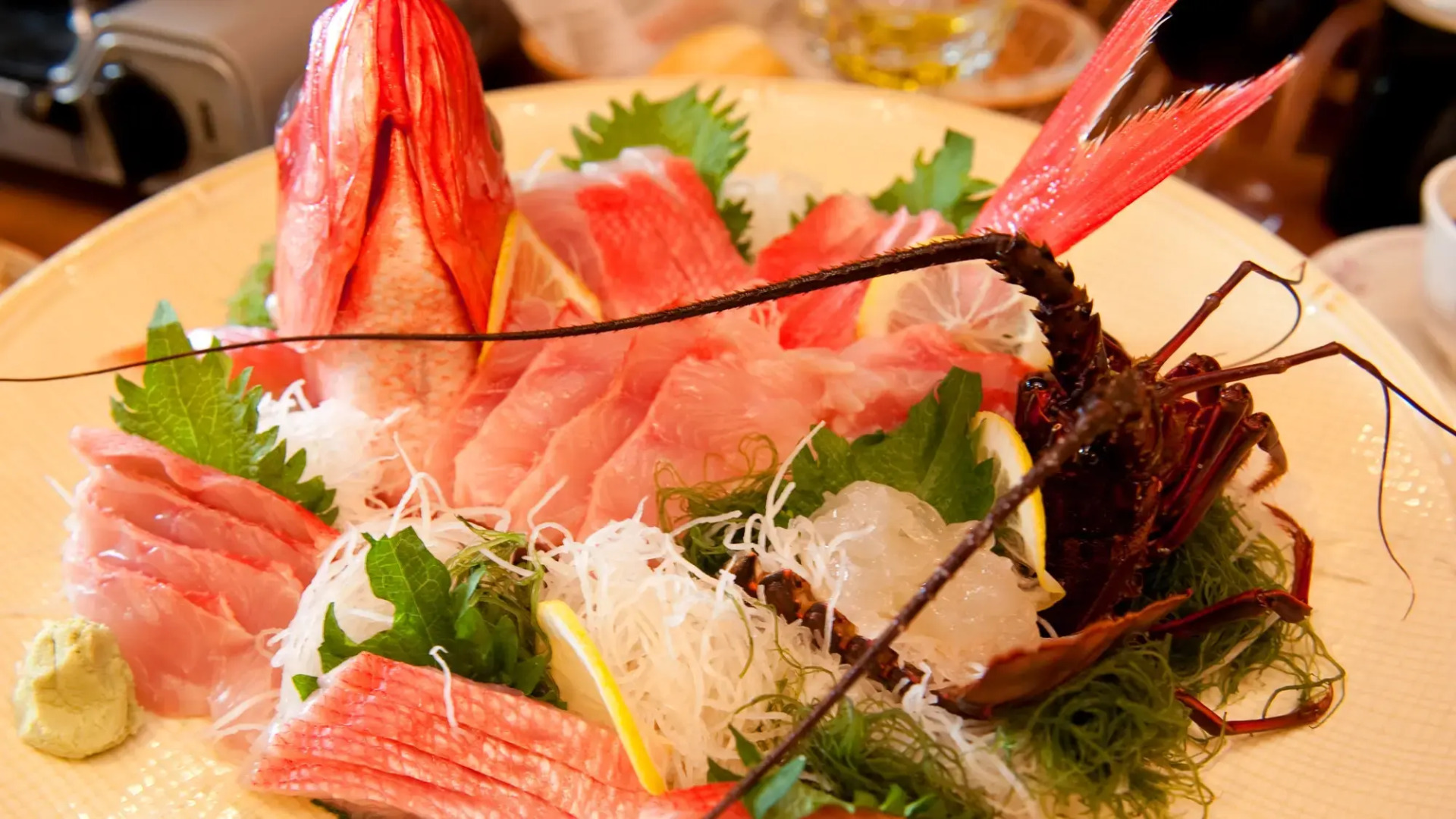 Izu Dog Pension Kotobuki Base