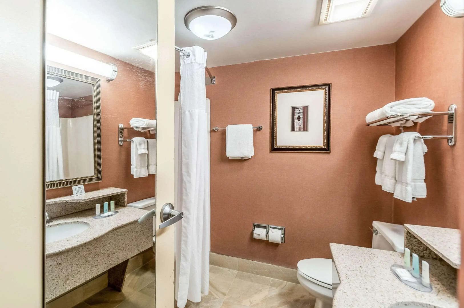 Clarion Hotel & Conference Center Leesburg