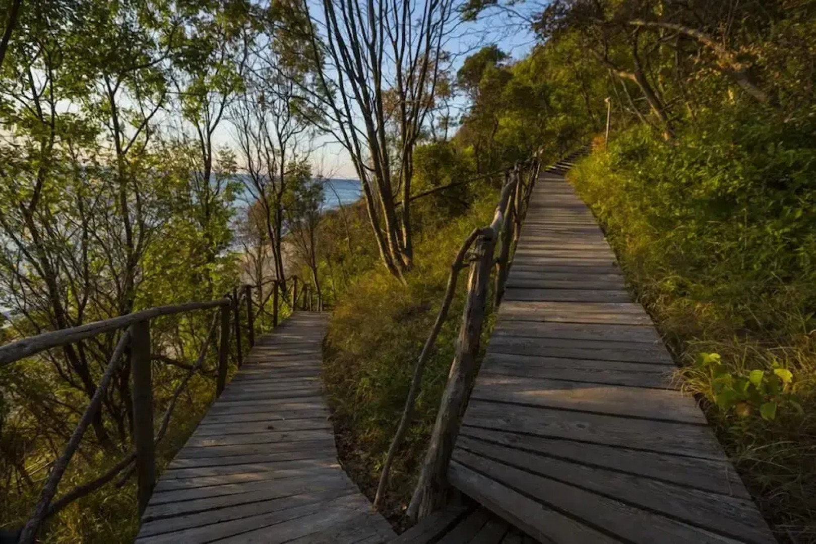 VITA RAMA holistic hotel - vegan FB