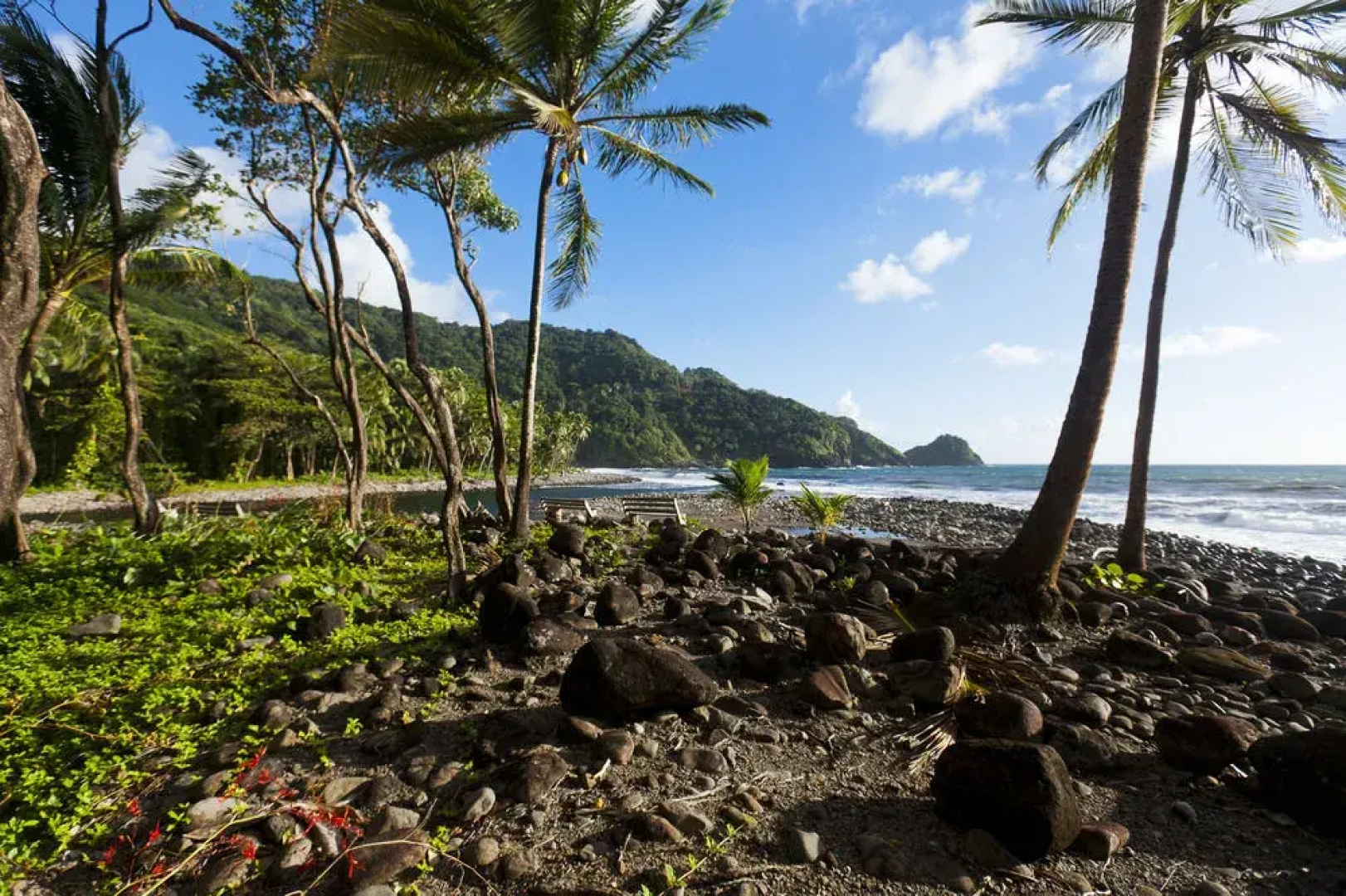 Rosalie Bay Resort