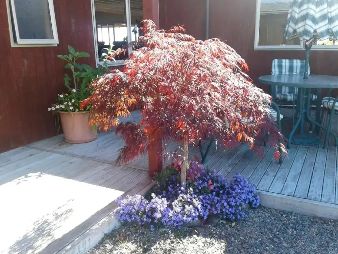 Kauri Lodge Karapiro