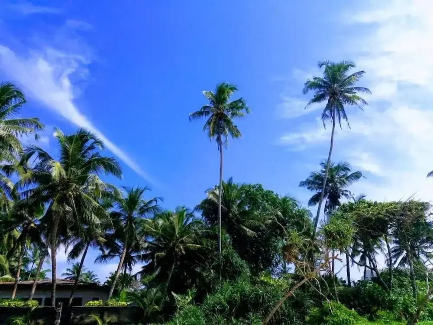 Malika's Yellow House