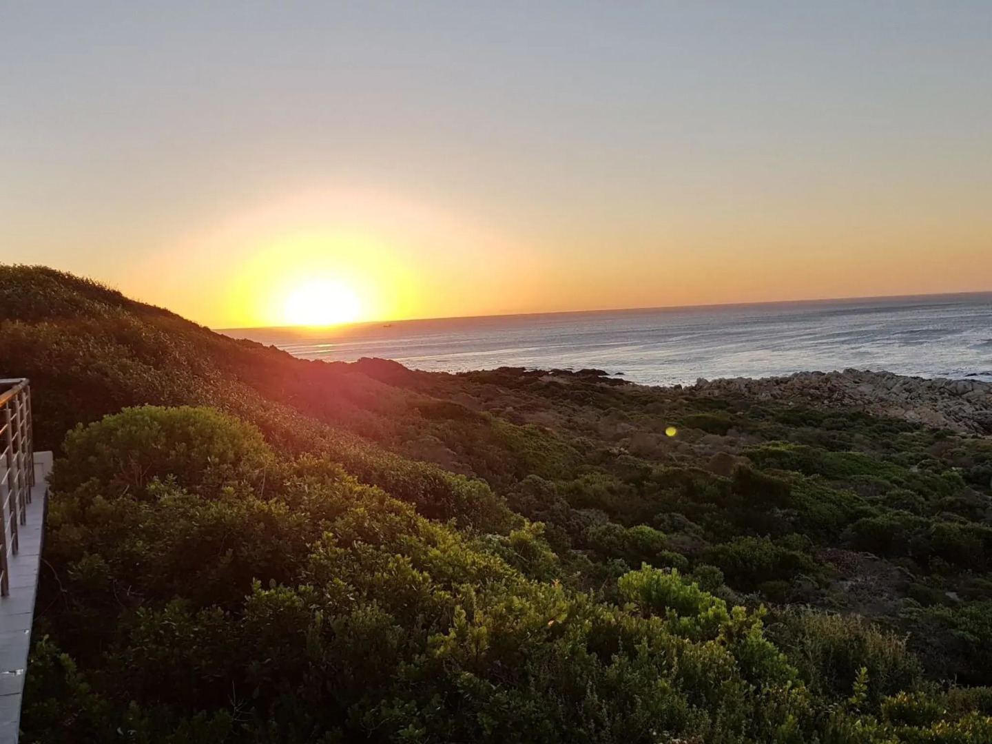 Royal Whale Watching