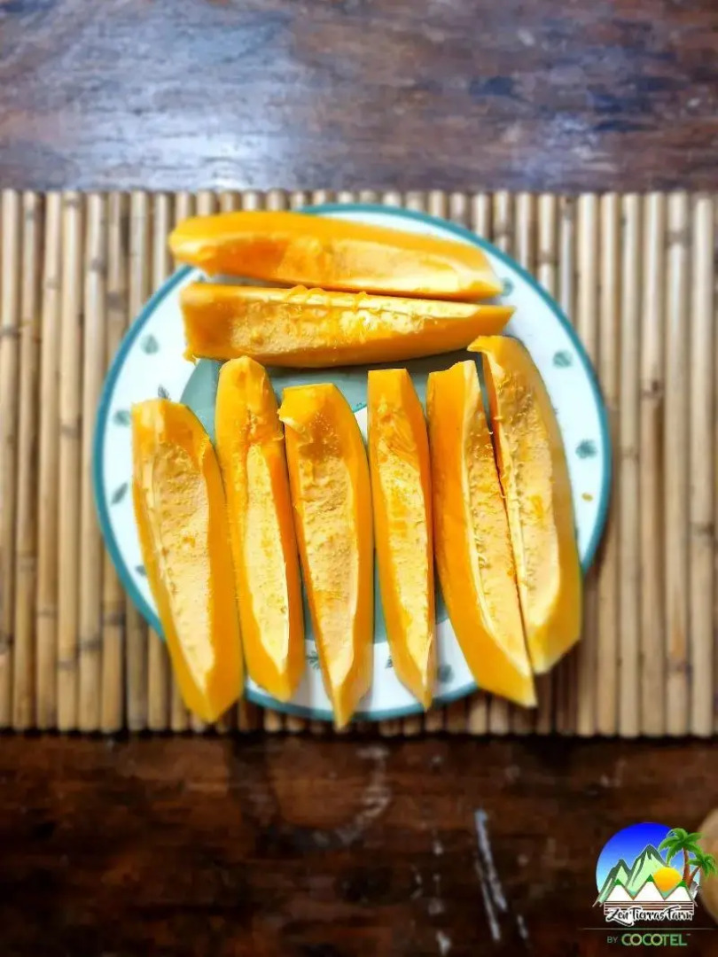 Zen Tierras Farm powered by Cocotel