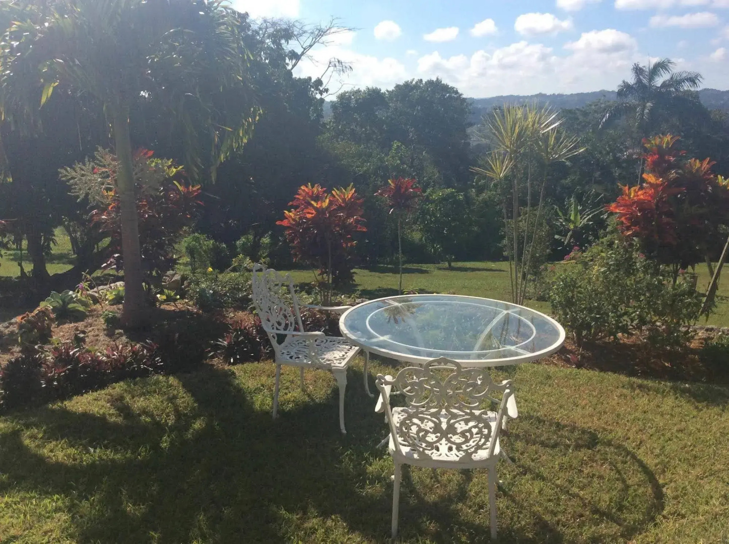 June Plum Bed and Breakfast