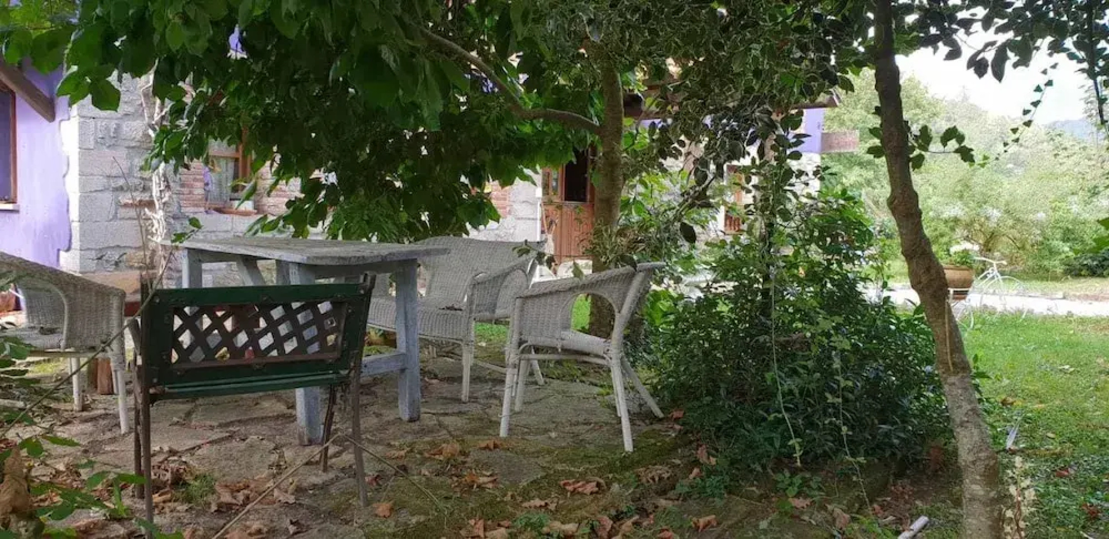 El Búho de la Remolina