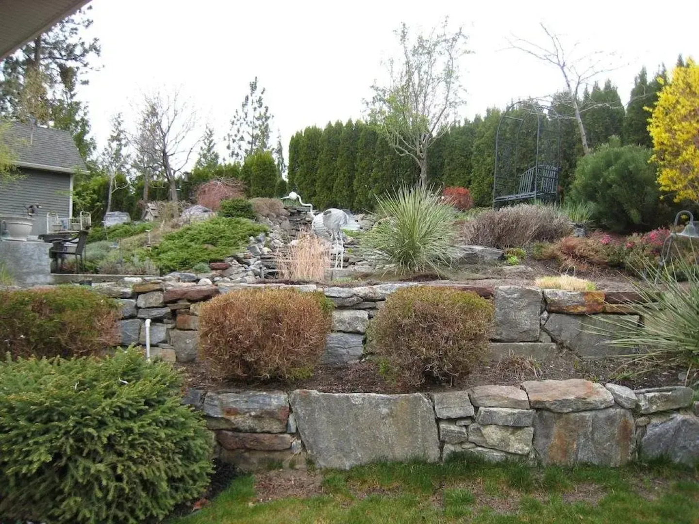 Yellow Rose Bed & Breakfast