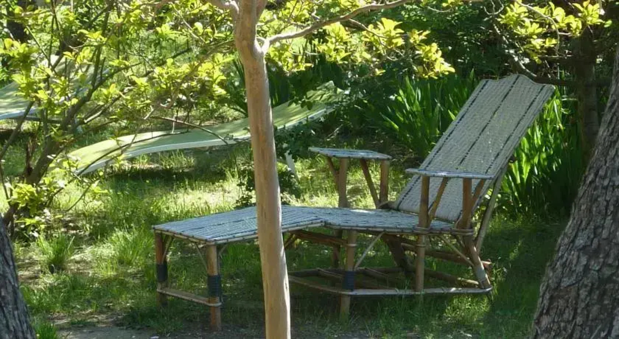 LOlivine Maison dHôtes