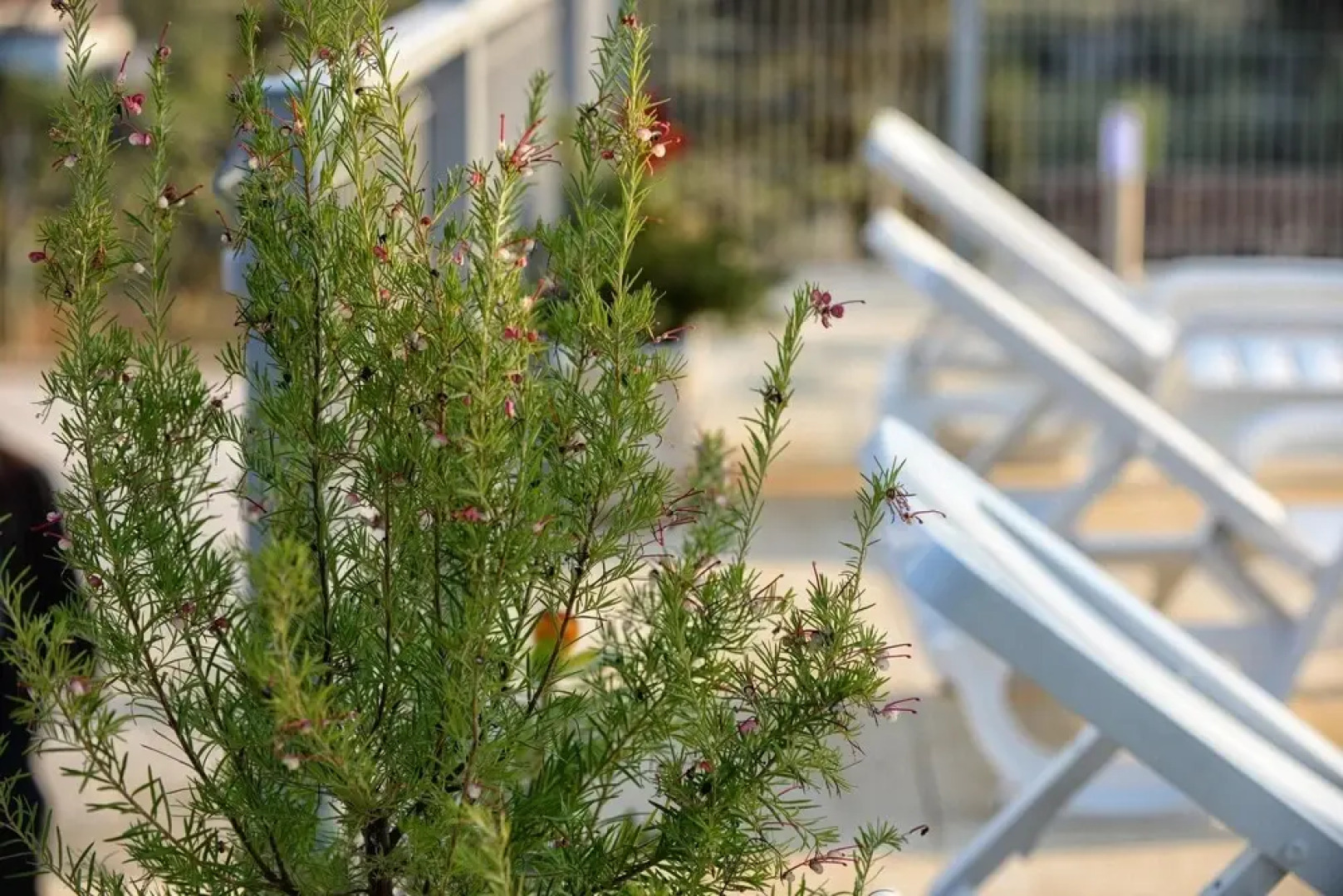 House With 6 Bedrooms in Celorico de Basto, With Pool Access, Furnishe