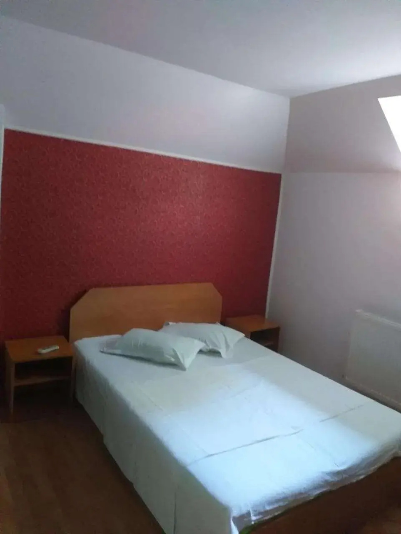 Vila Ana Lacramioara Concept
