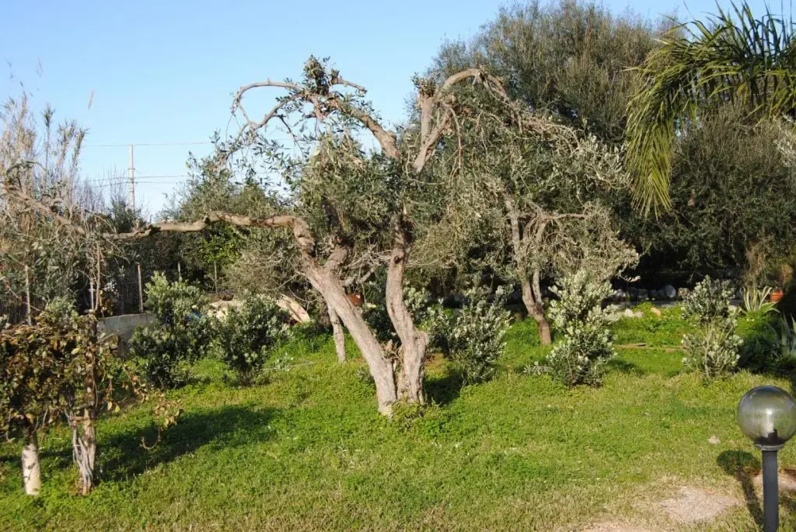 Appartamento uso turistico Villa Barbara