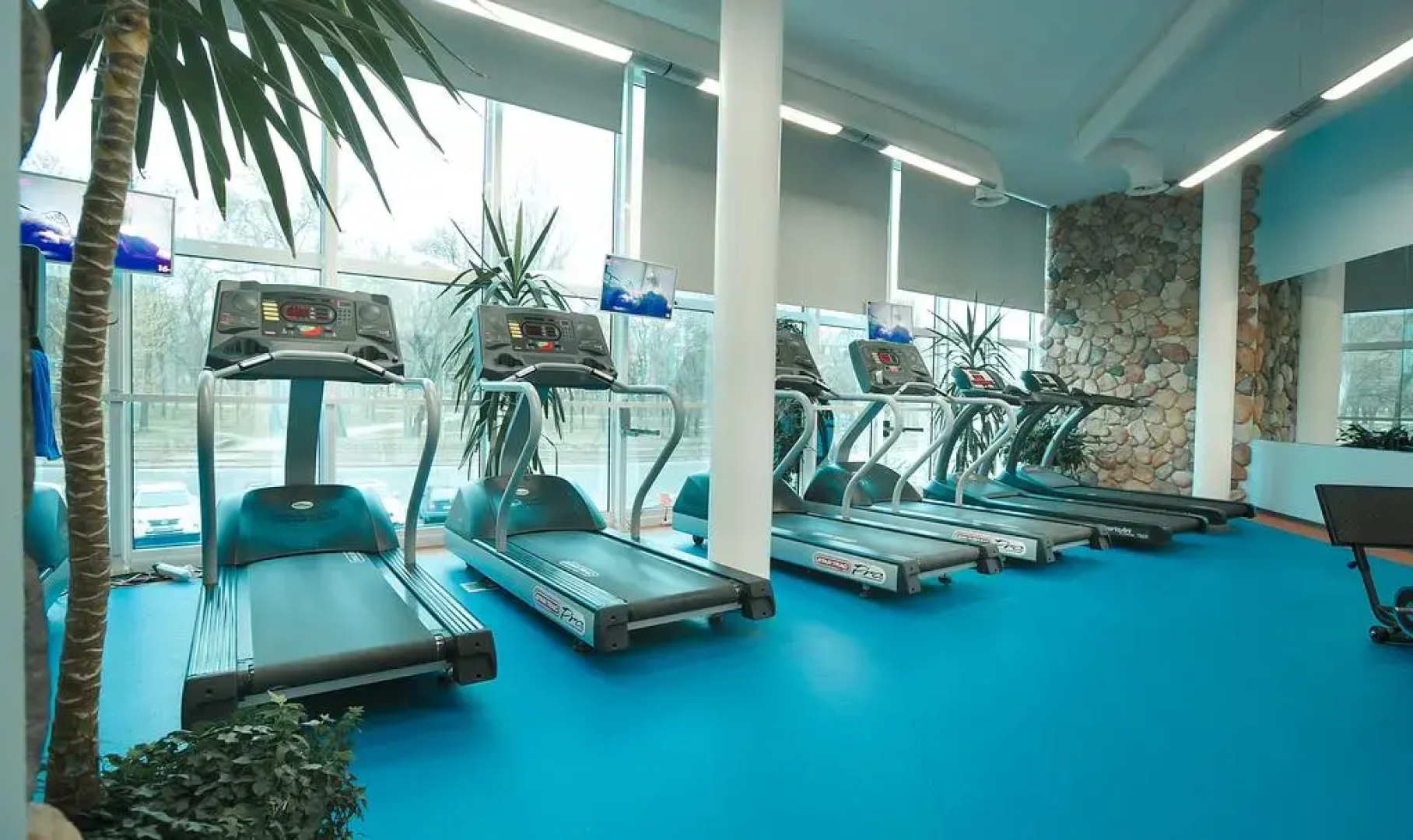 Спа-отель «Цунами»