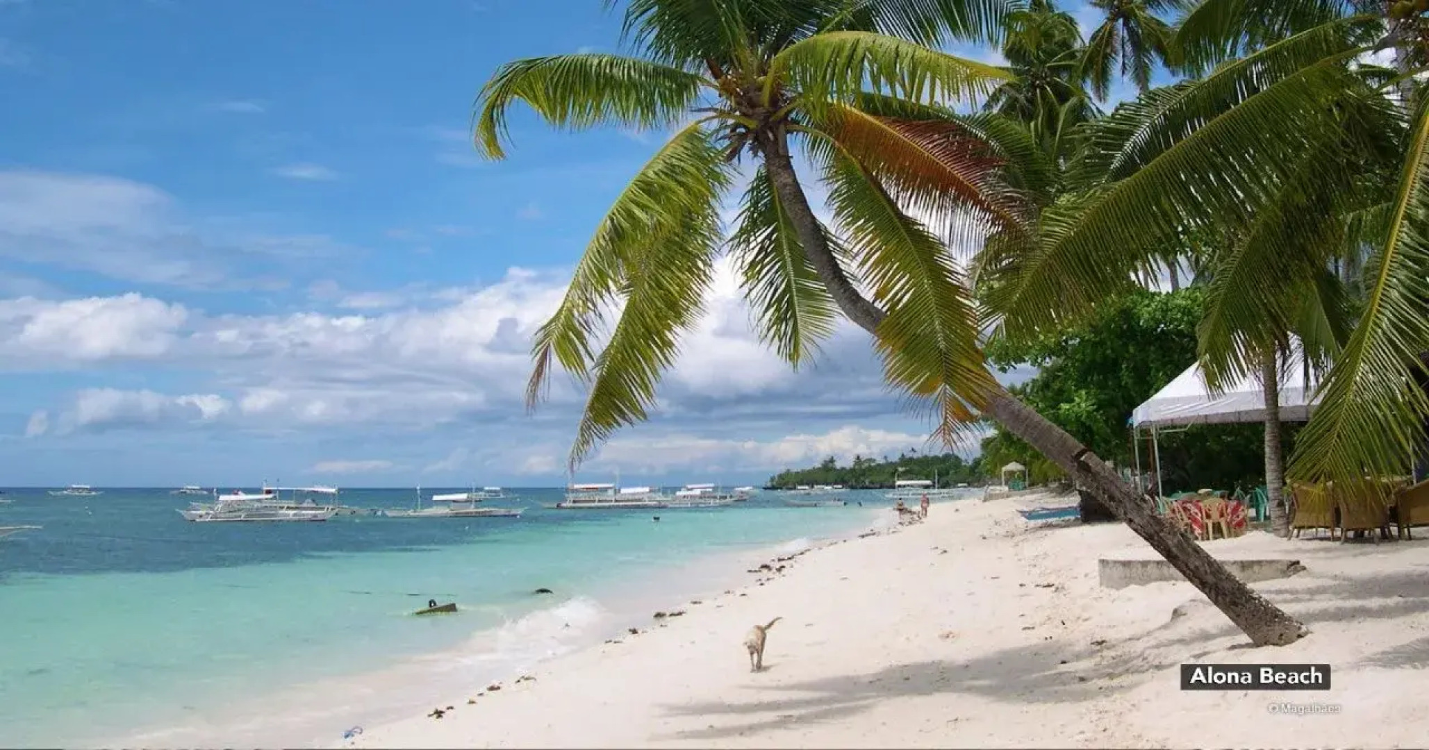 Hidden Coral Divers Club and Resort