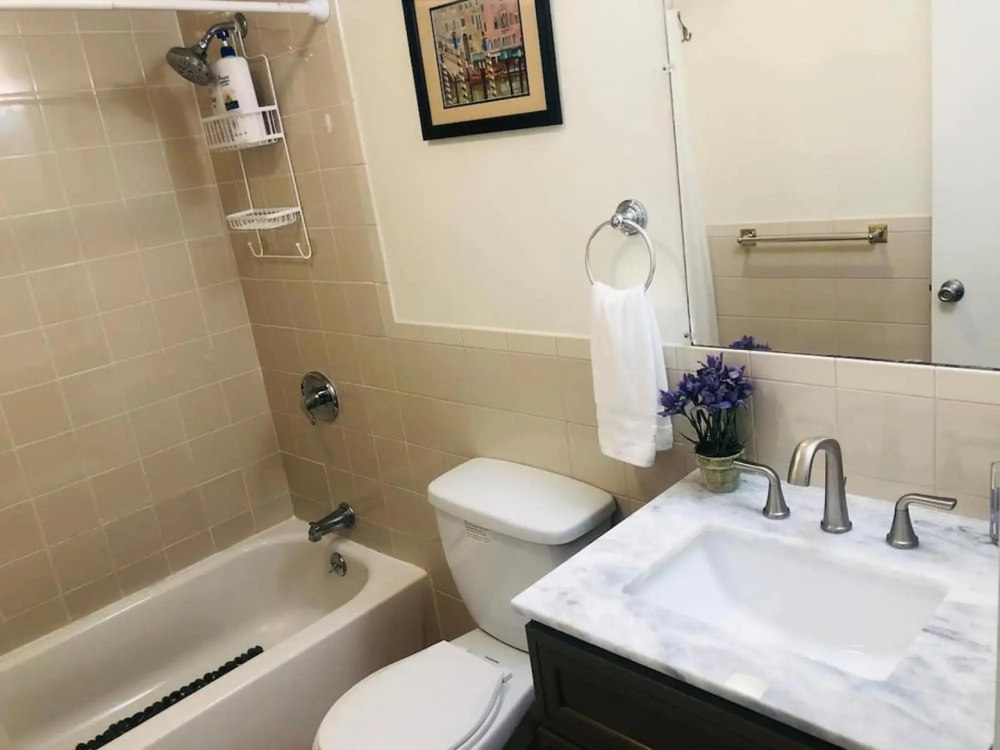 Tucked away garden level studio near Cambridge