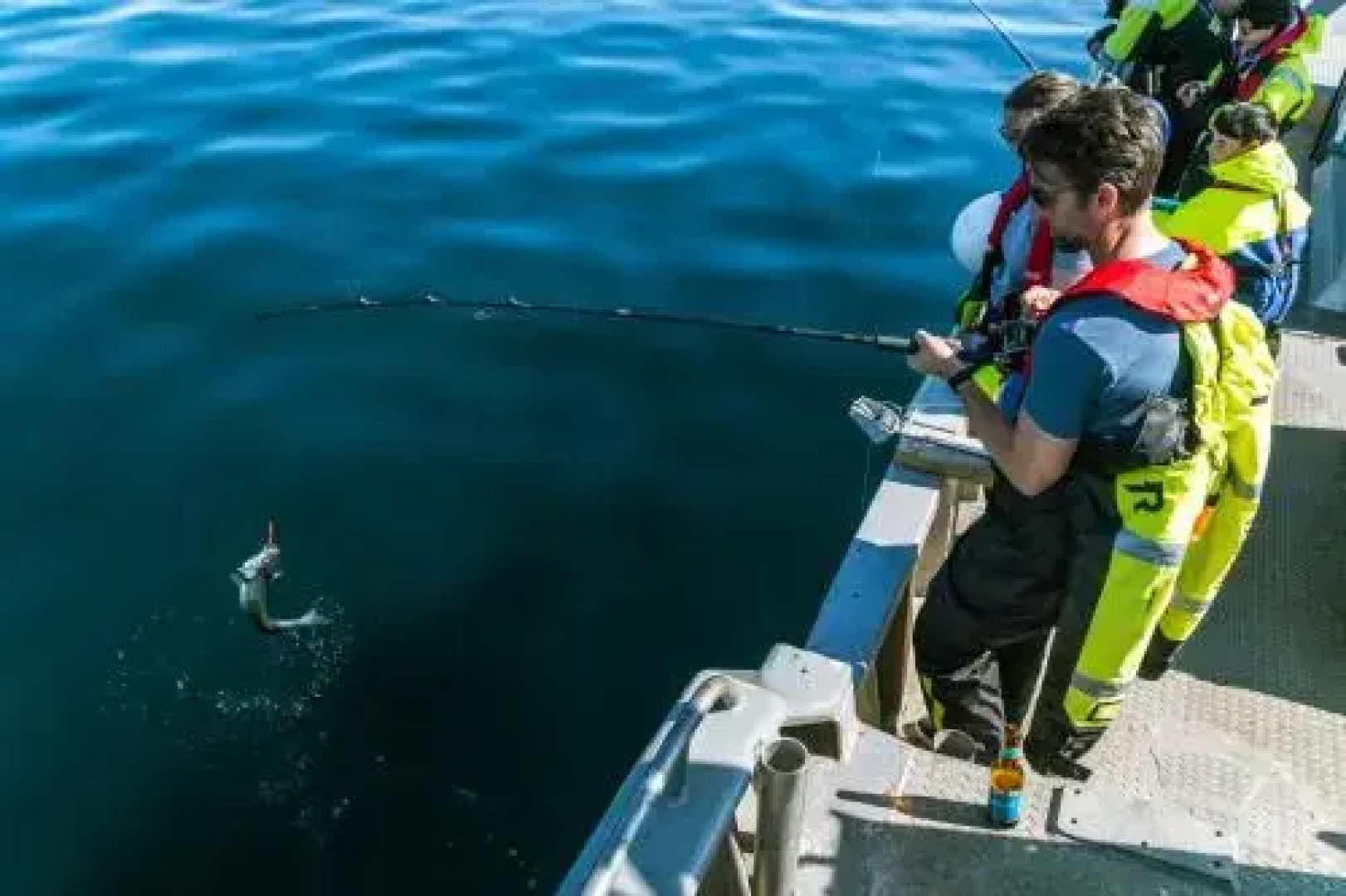 Live Lofoten Fishermen's Cabins