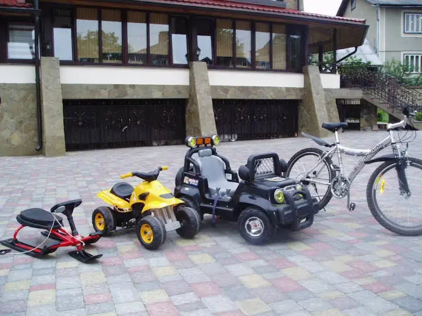 Цвит Папороти