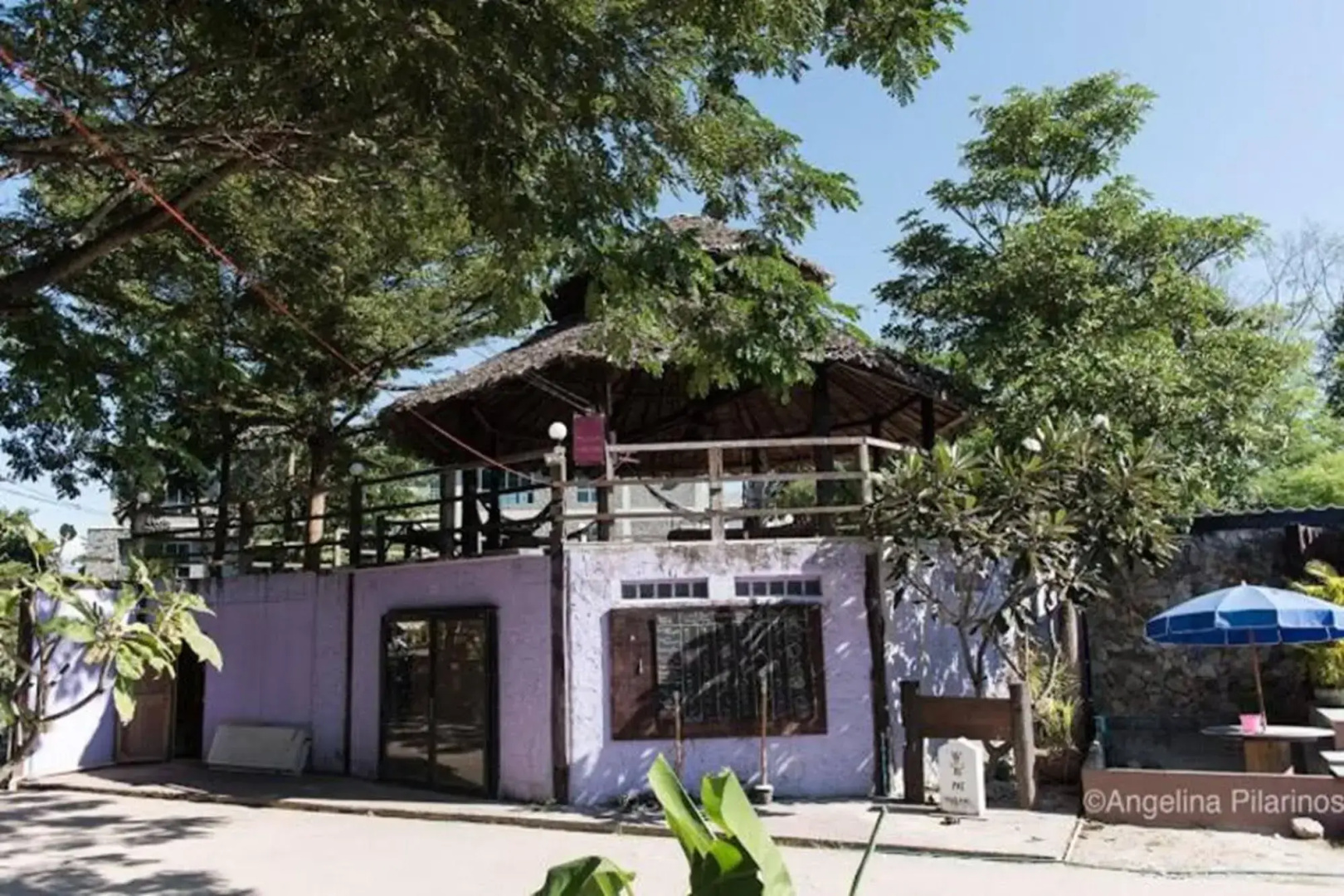 Purple Monkey Backpackers