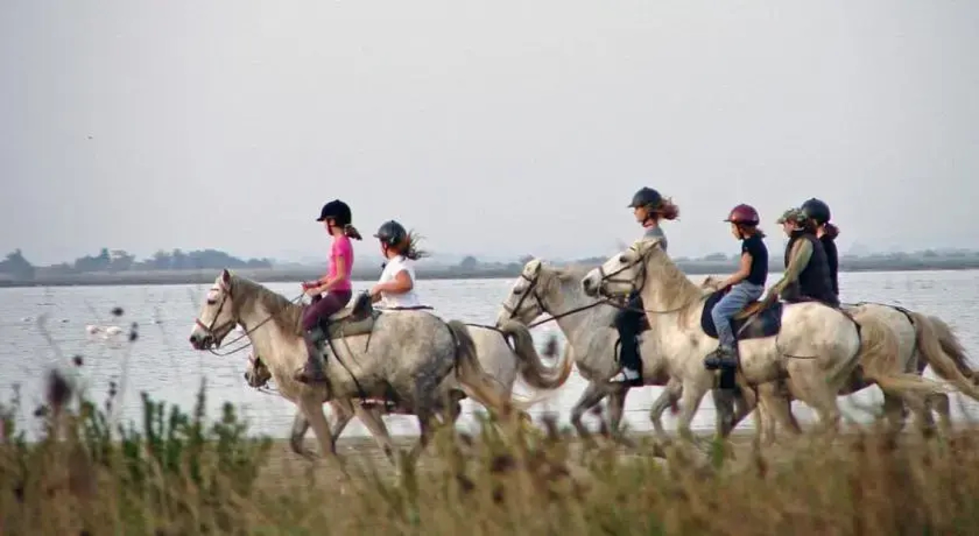 Camping du domaine du MARINPALM