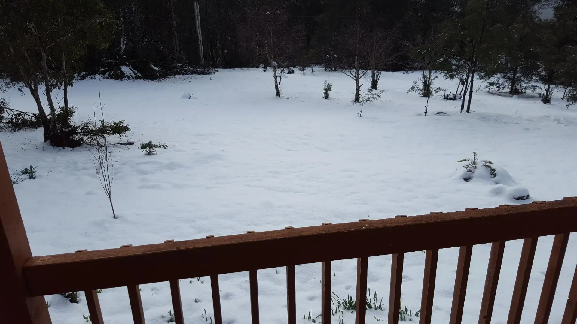 Cradle Alpine Retreat