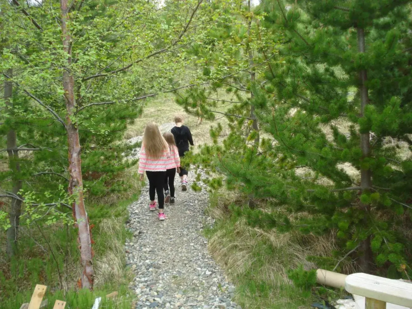 Vinland Camping Pods