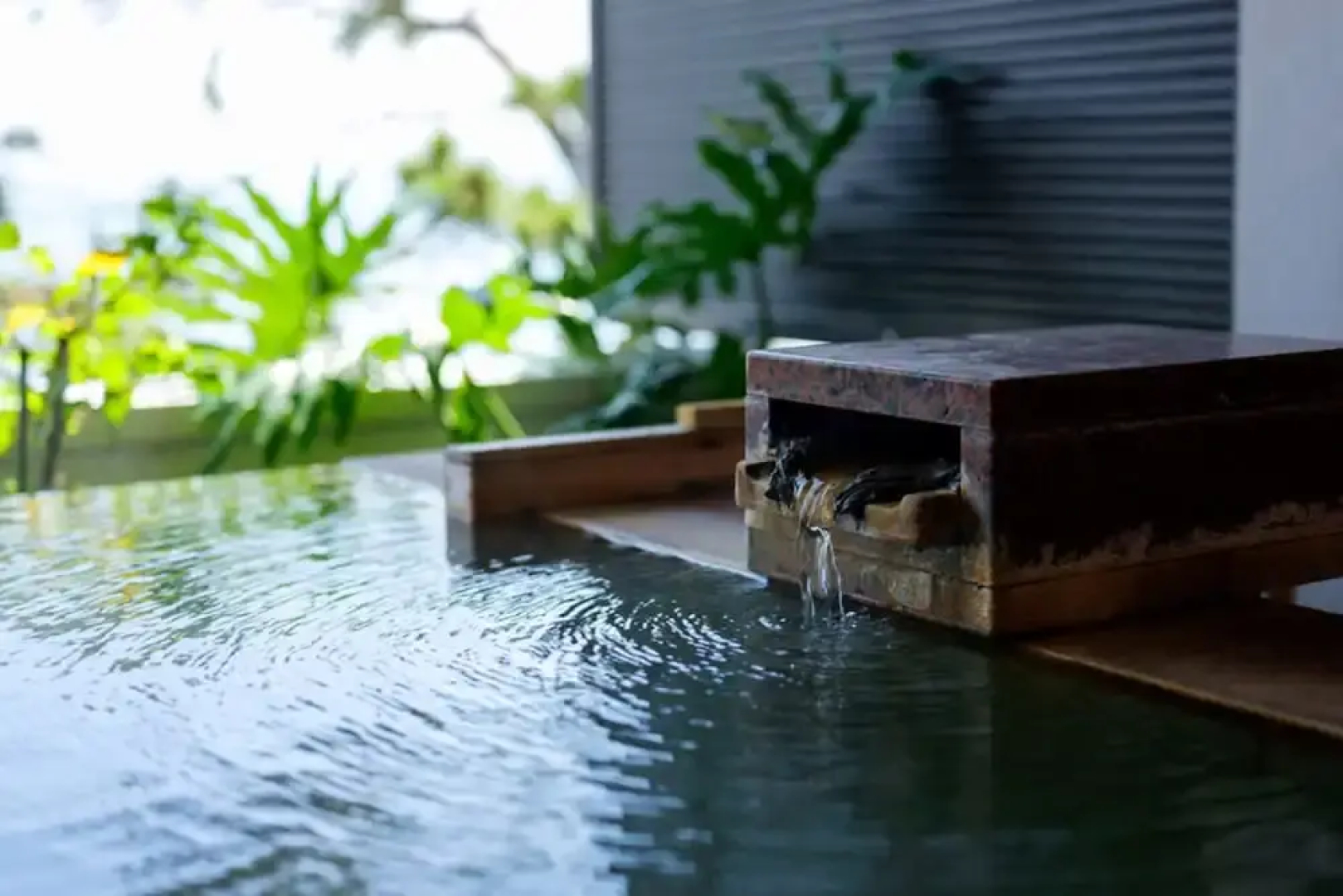 Hana no Onsen Hotel Ginsyo