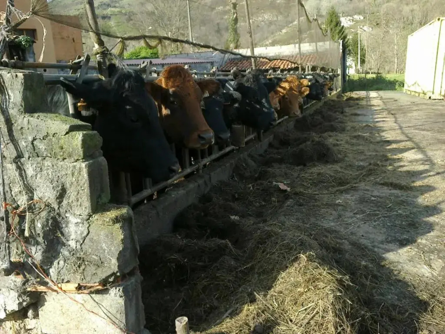 La Torre De Cubillas