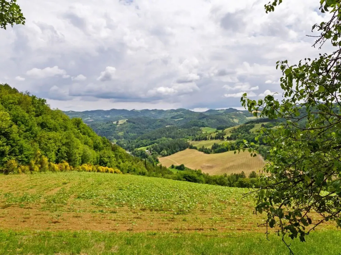 Luxurious Villa in Tredozio Tuscany With Panoramic Views