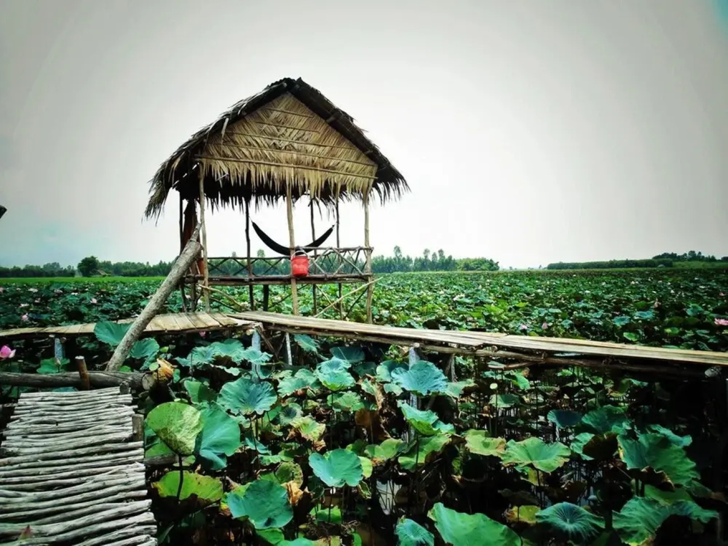 Hai Lua Homestay (Lotus Lake Homestay)