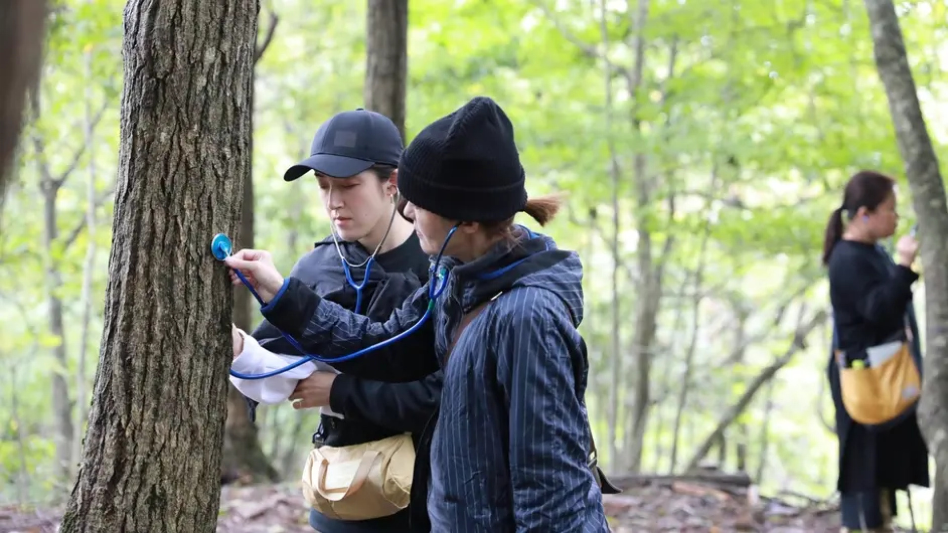 Soranomori Hotel Hanagori