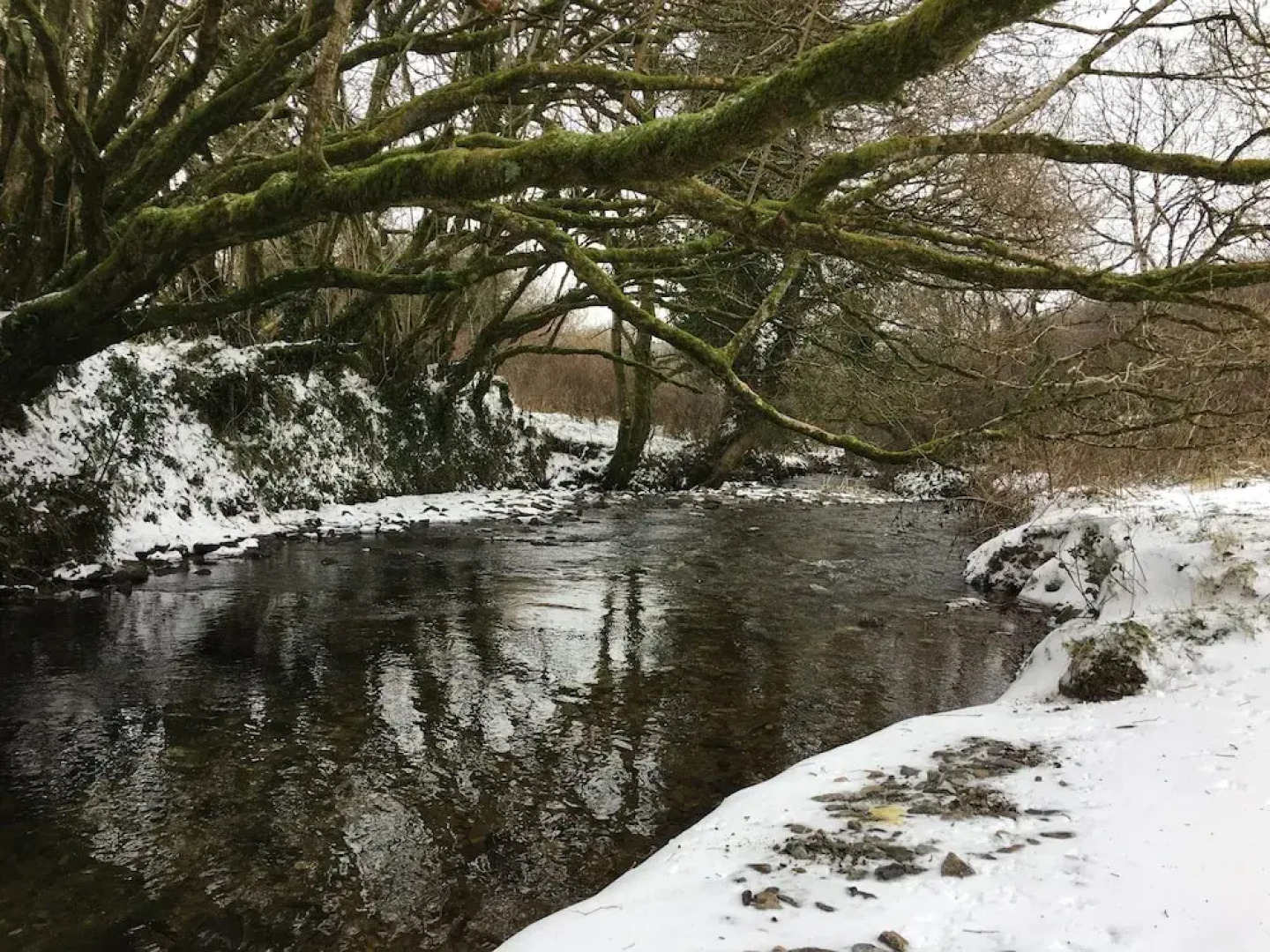 Higher Culloden Farm