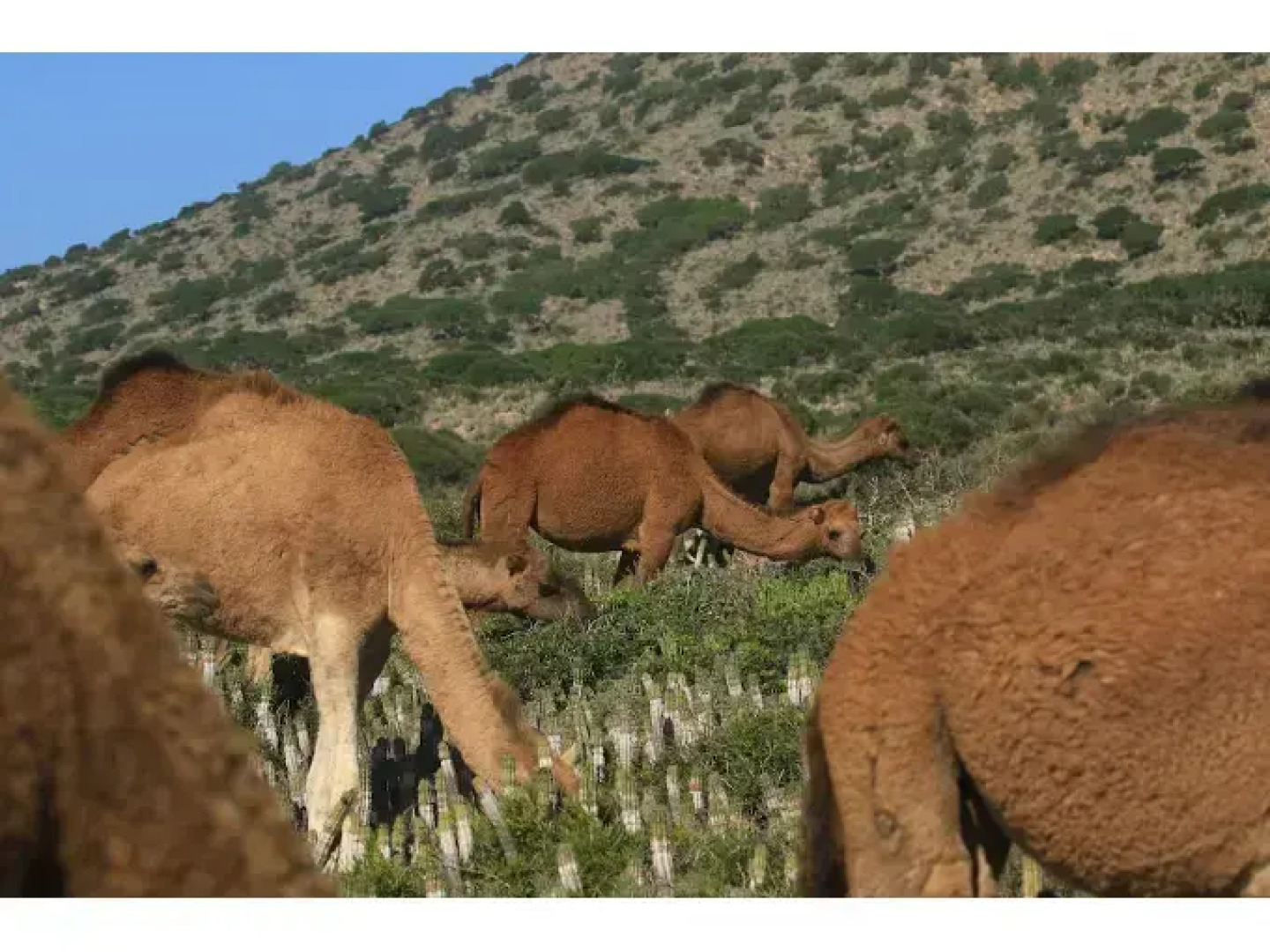 SaltSkin Surf House - Adults Only