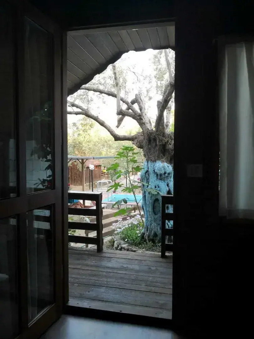 ZeytinDagi Bungalow Butik Otel