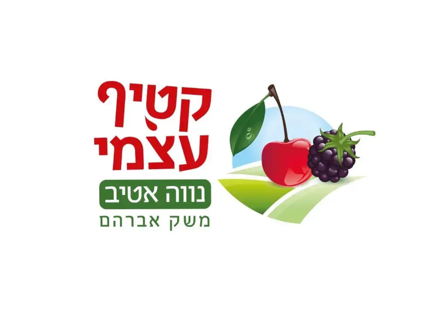 House On The Mountain