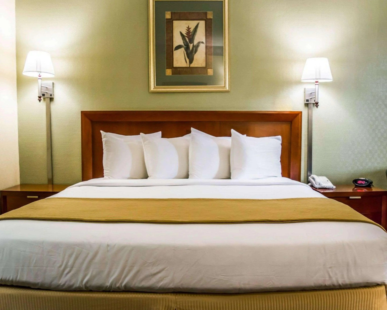 Quality Inn Airport - Cruise Port