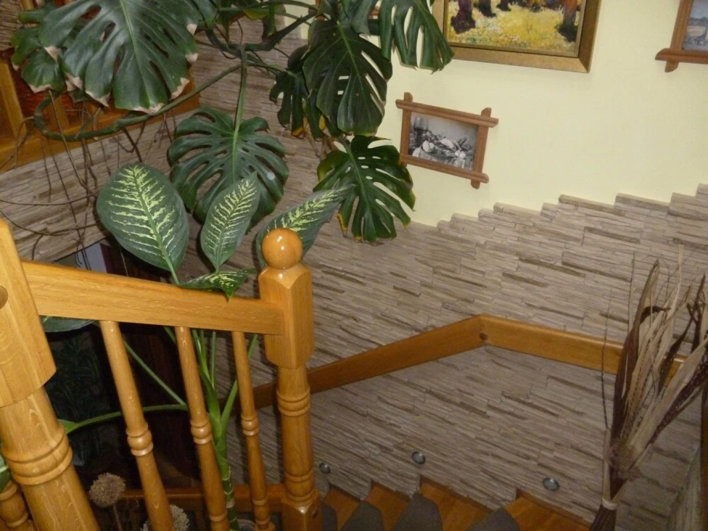 Kanarek Pokoje Goscinne