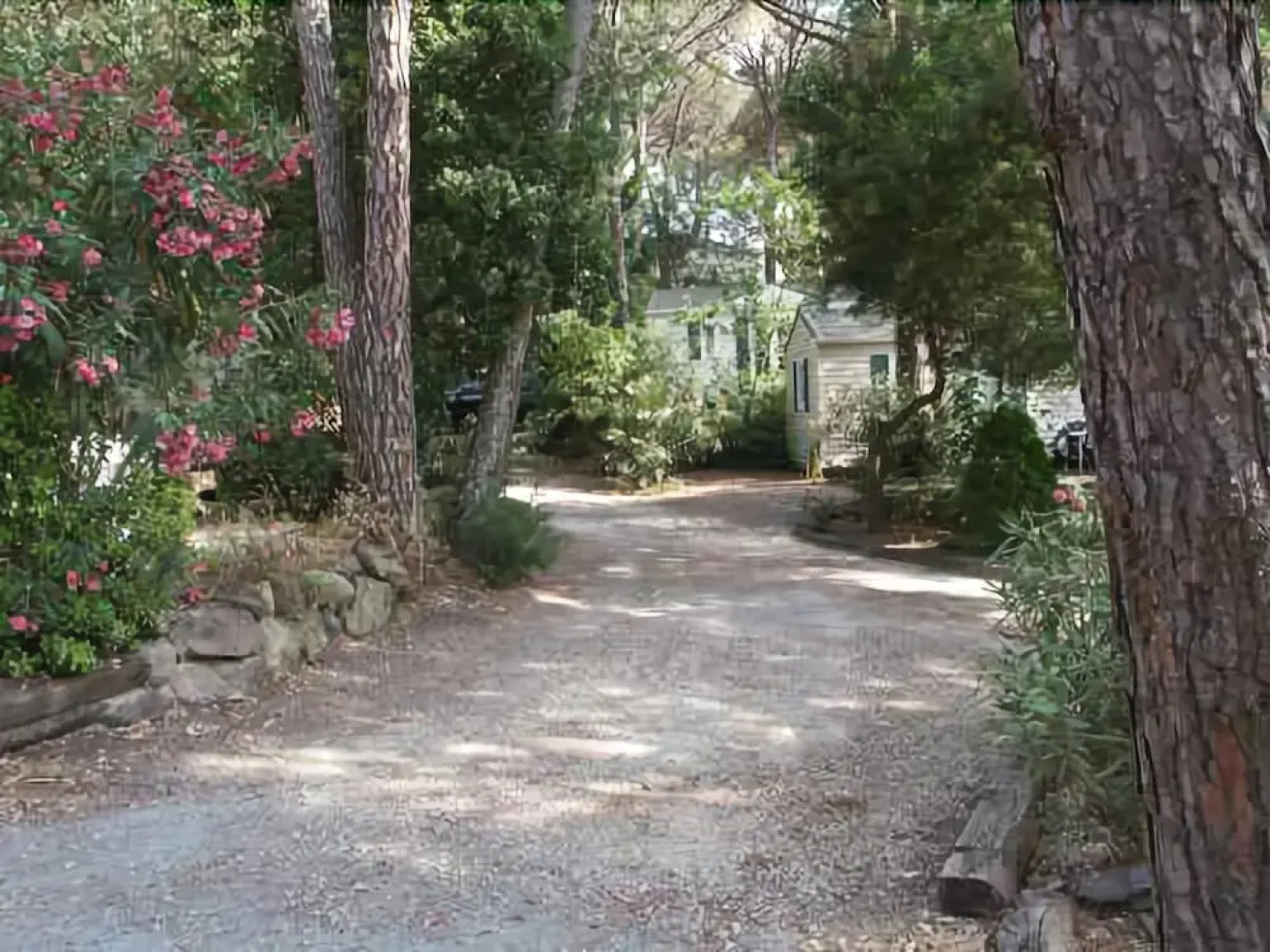 Douce Quiétude - Campsite