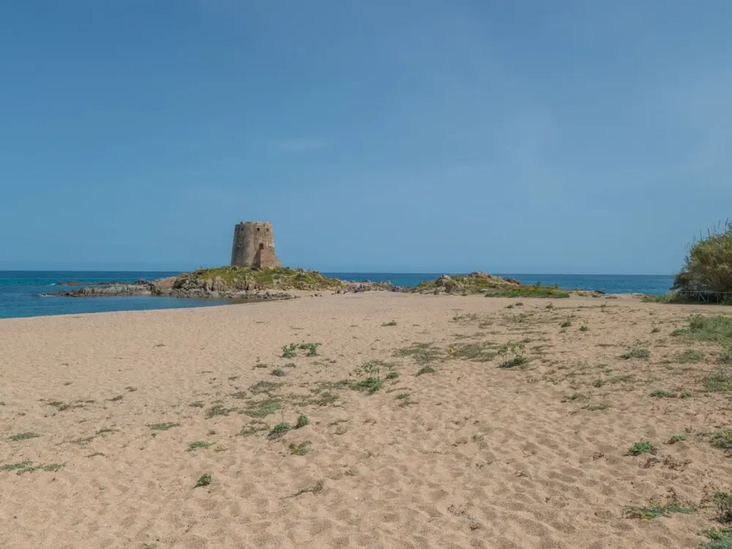 Surphinia Torre di Bari