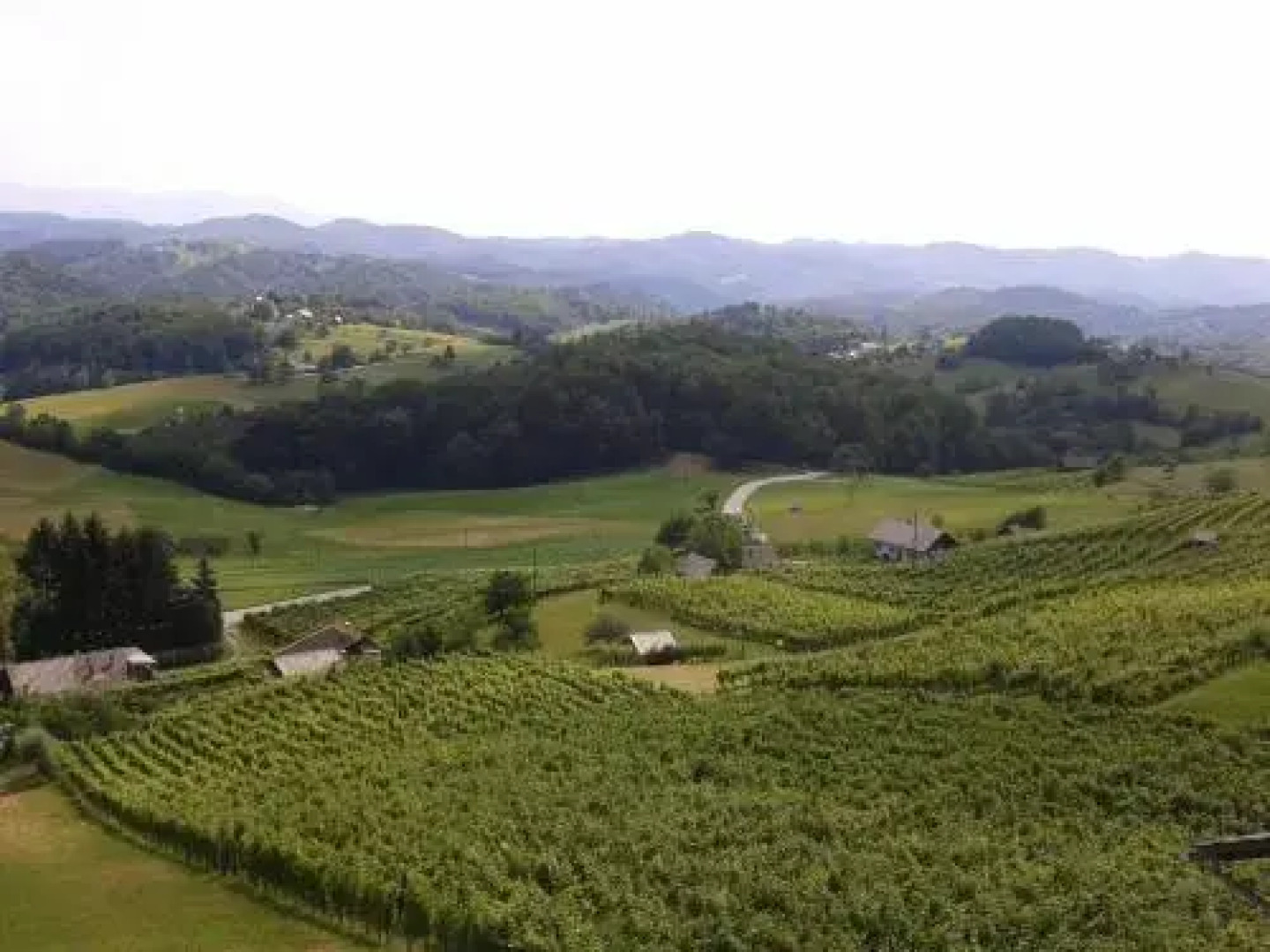 Grobelnik Tourist Farm