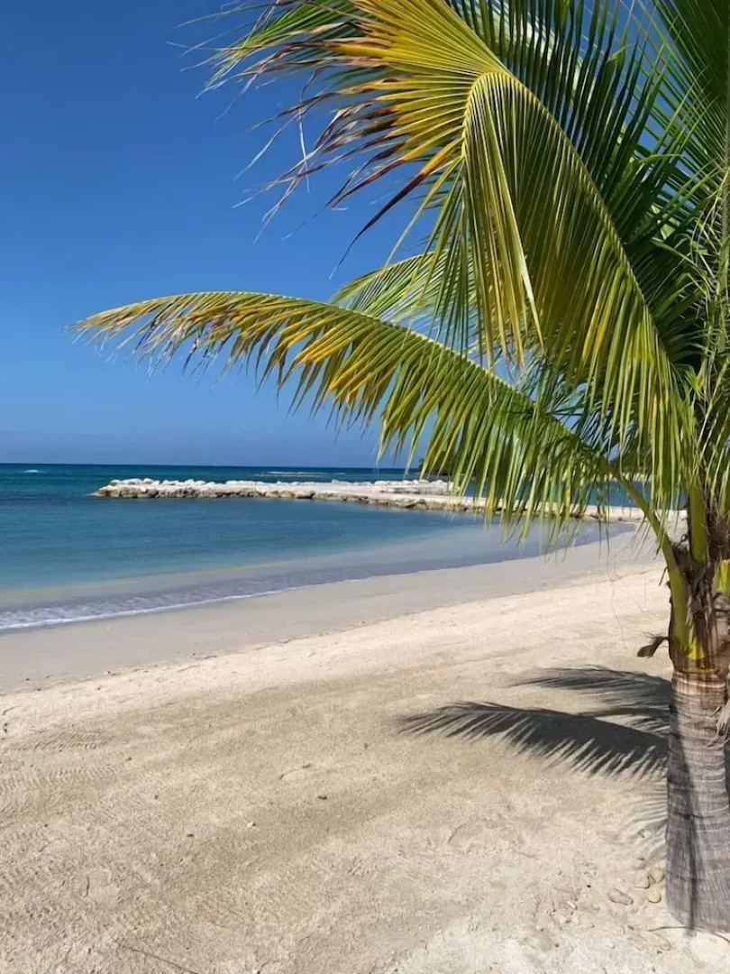 Palm BlossomJA Beach
