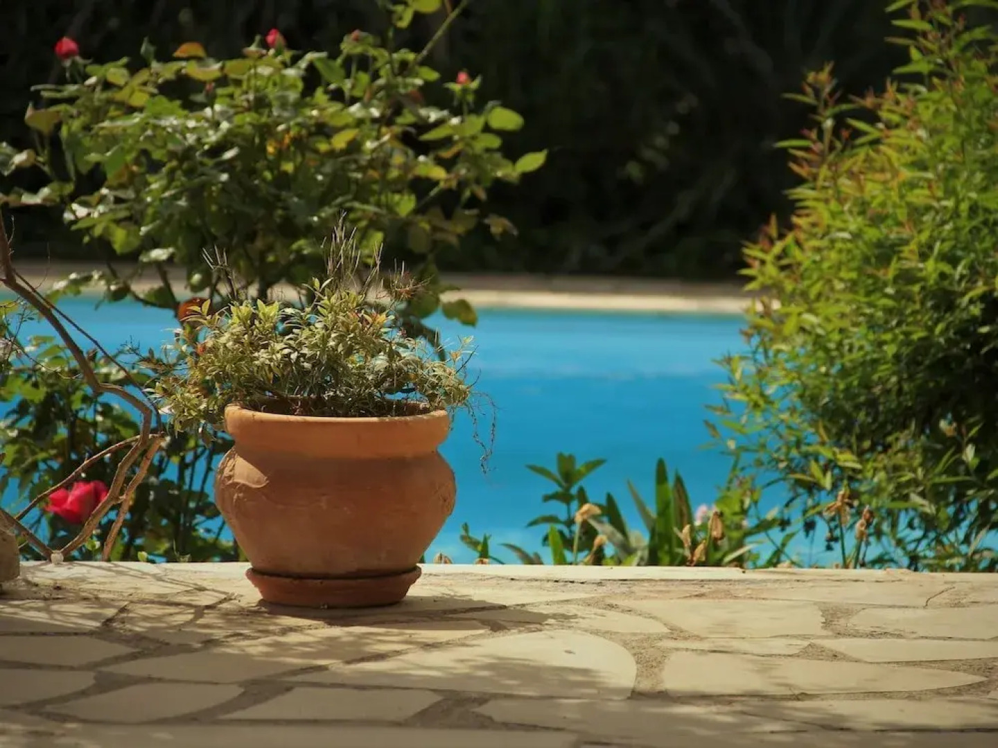 Alluring Holiday Home in Flayosc With Pool