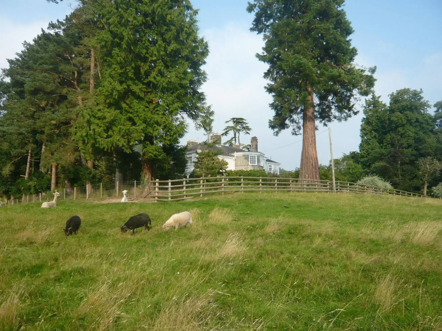 The Old Vicarage