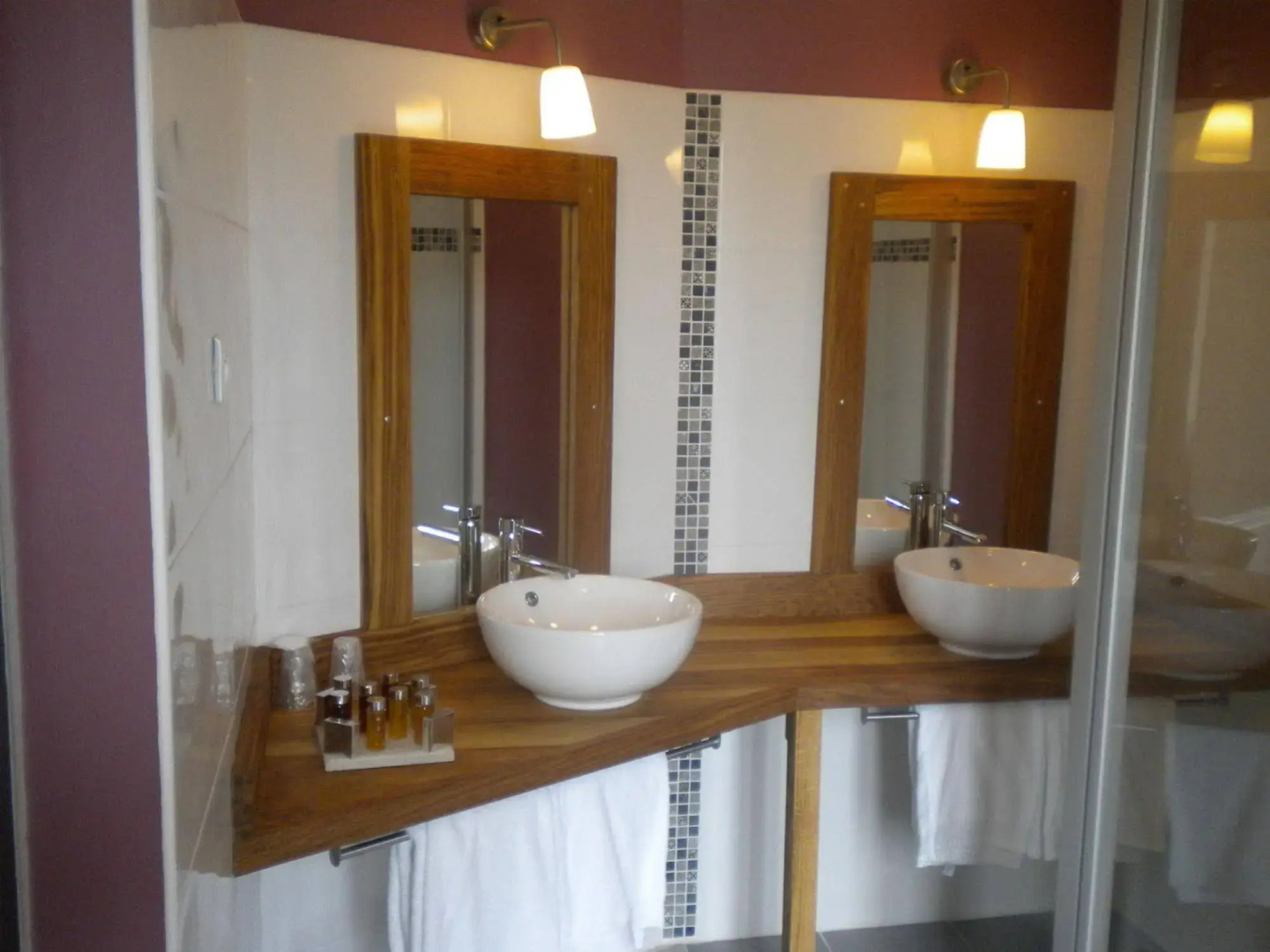 Hotel Château de Palaja