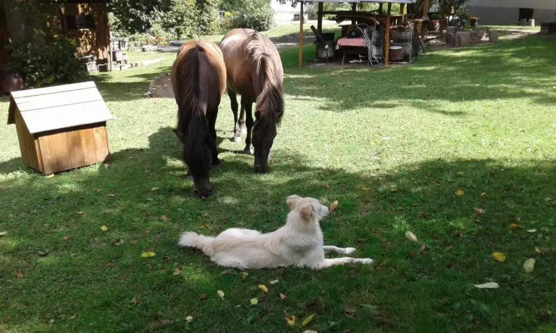 Kétbodonyi Apartments