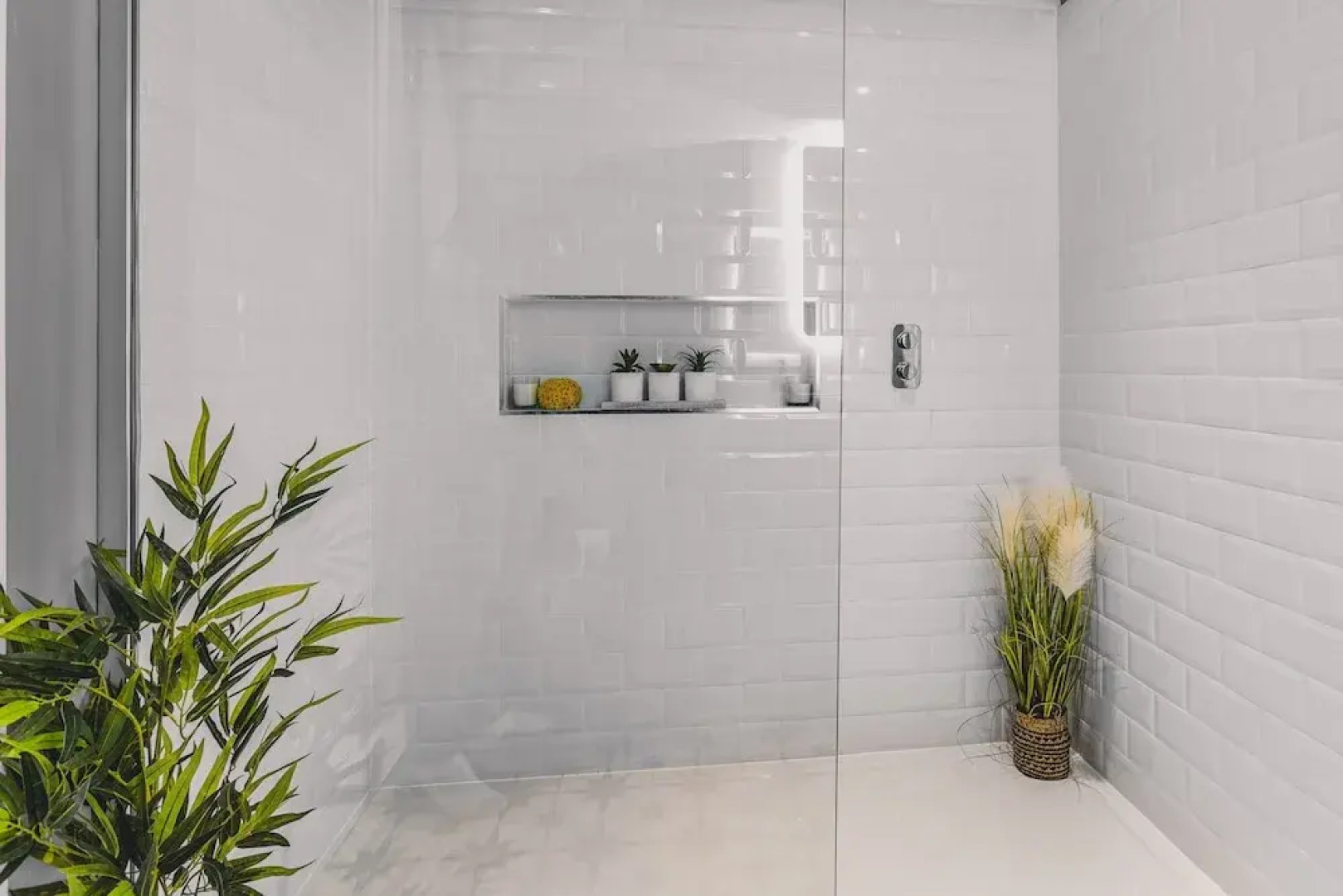 Little Redlap in Dartmouth