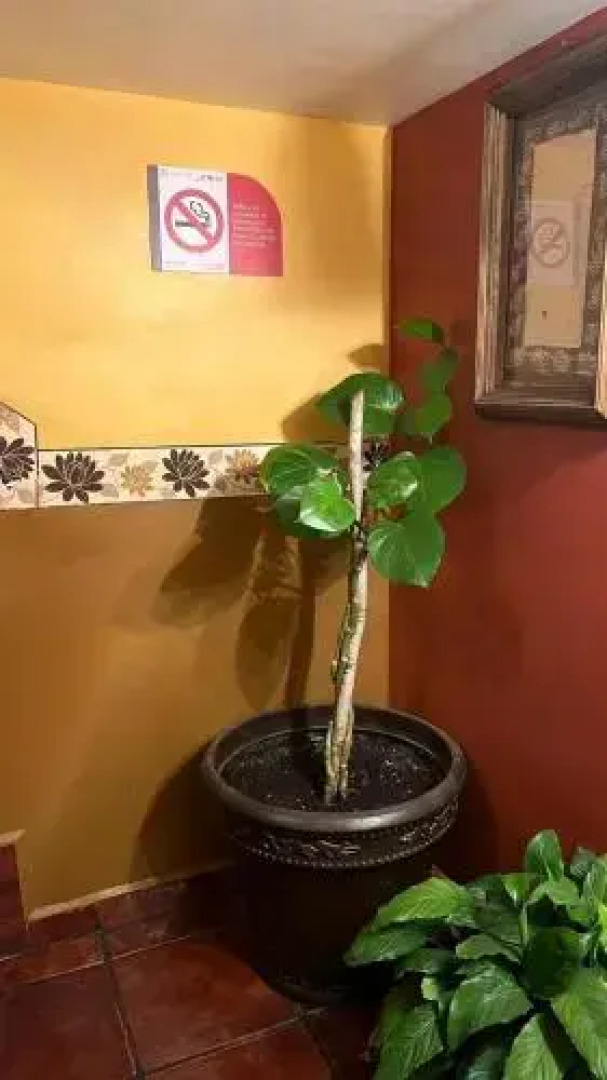 Hotel Plaza Bicentenario